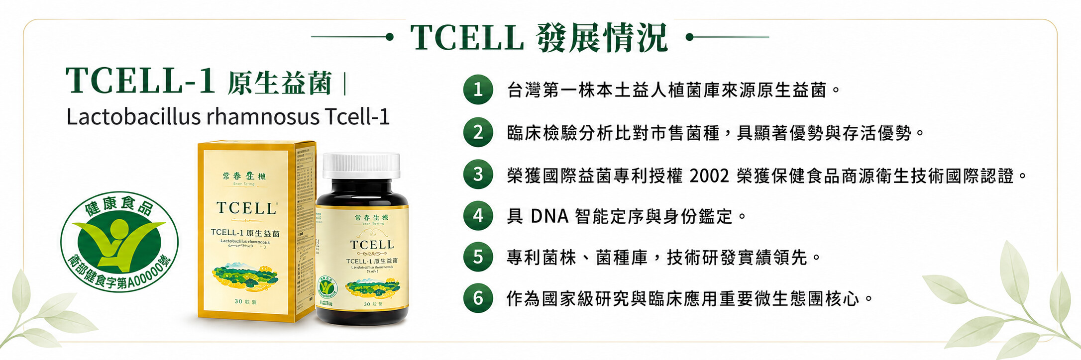 TCELL-1 原生益菌 Lactobacillus rhamnosus Tcell-1 發展情況