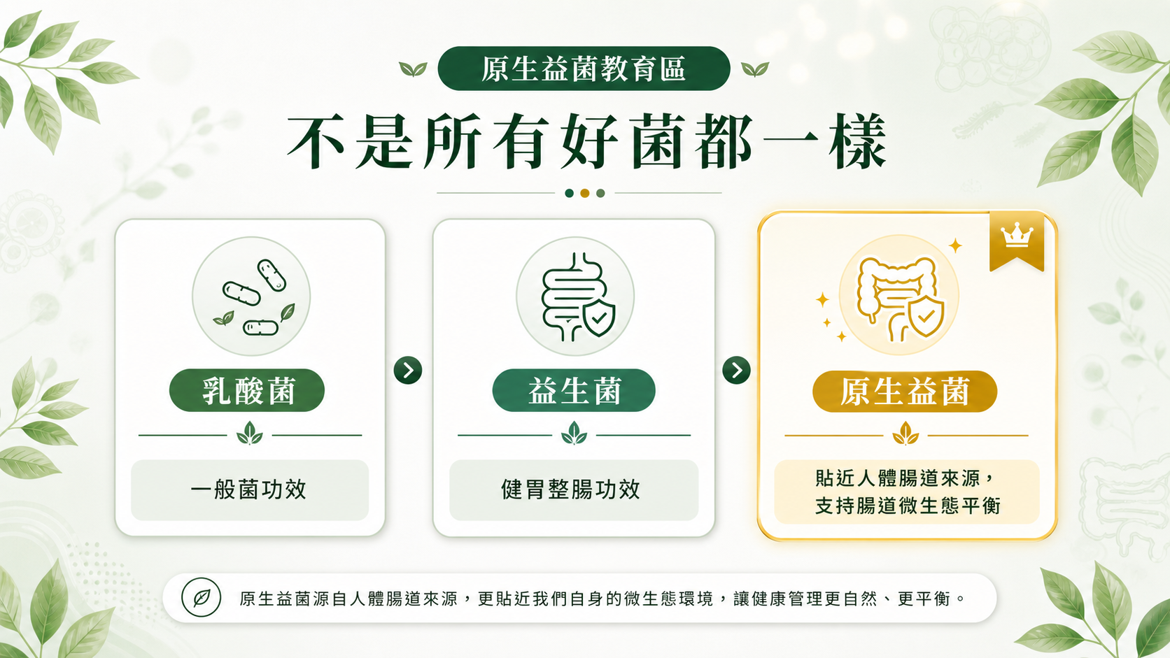 乳酸菌 益生菌 原生益菌 比較圖