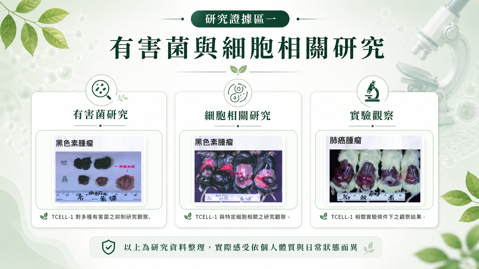 有害菌與細胞相關研究視覺稿