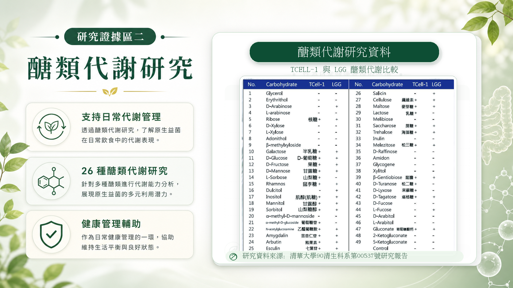 醣類代謝研究視覺稿