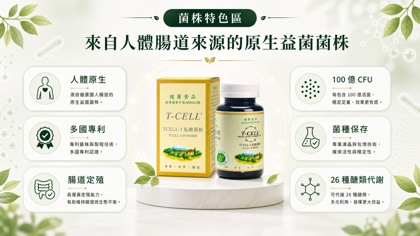 TCELL-1 菌株特色視覺稿